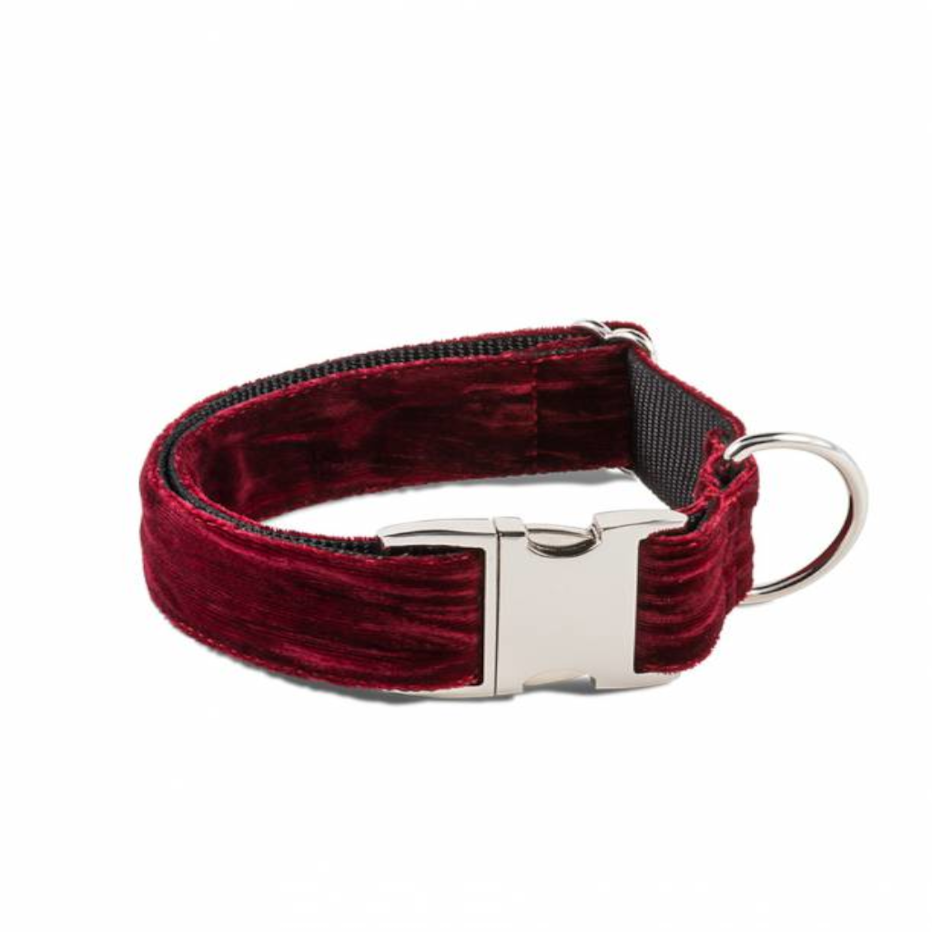Brott collar para perros modelo Textura Biure