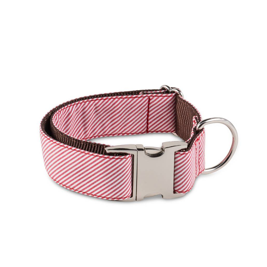 Brott collar para perros modelo Textura Amposta