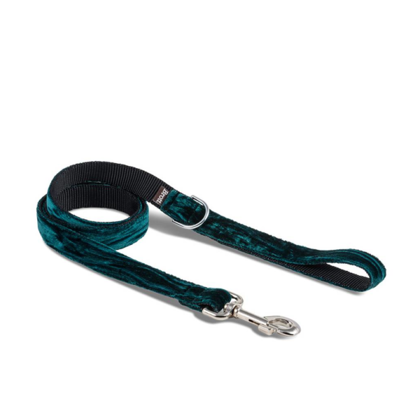 Brott correa para perros modelo Textura Verdu